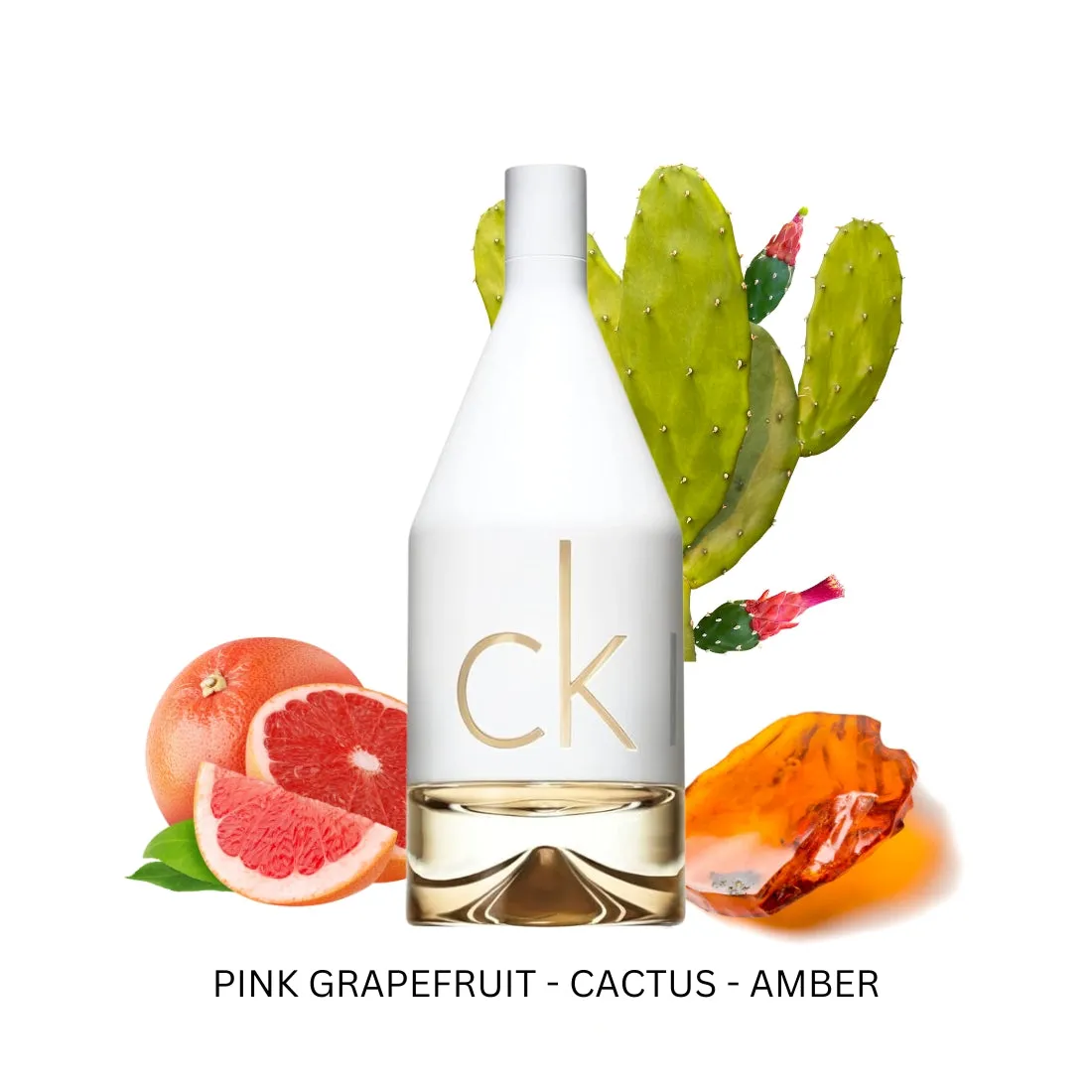 CK IN2U For Women By Calvin Klein Eau De Toilette Spray