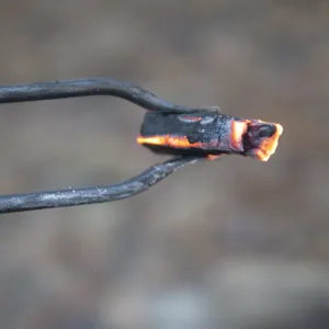 Ember Tong